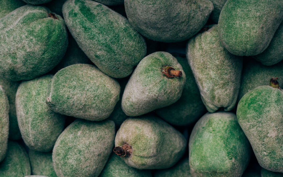 Pourquoi et comment choisir son photographe culinaire ?